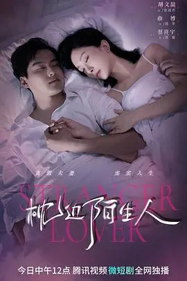 《枕边陌生人》深度解析：当爱人变成最熟悉的陌生人，悬疑反转烧脑！